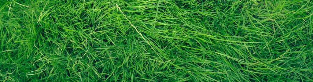 Pourquoi adopter les Bonnes Pratiques Agricoles (BPA)