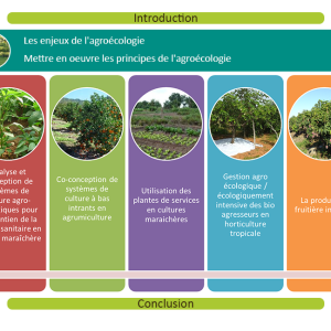 La gestion agro écologique des systèmes de cultures
