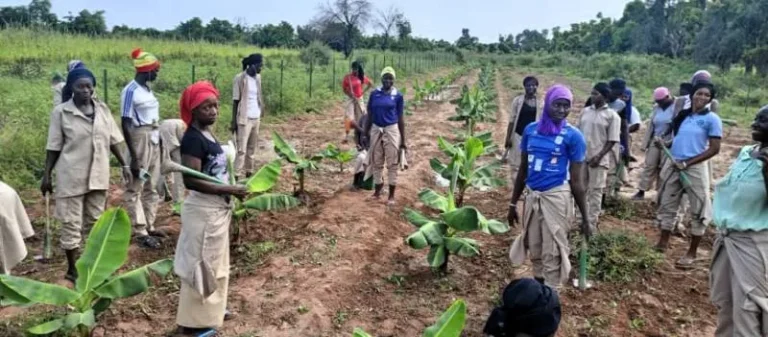 Photographie de terrain publiée par Agrovision BE